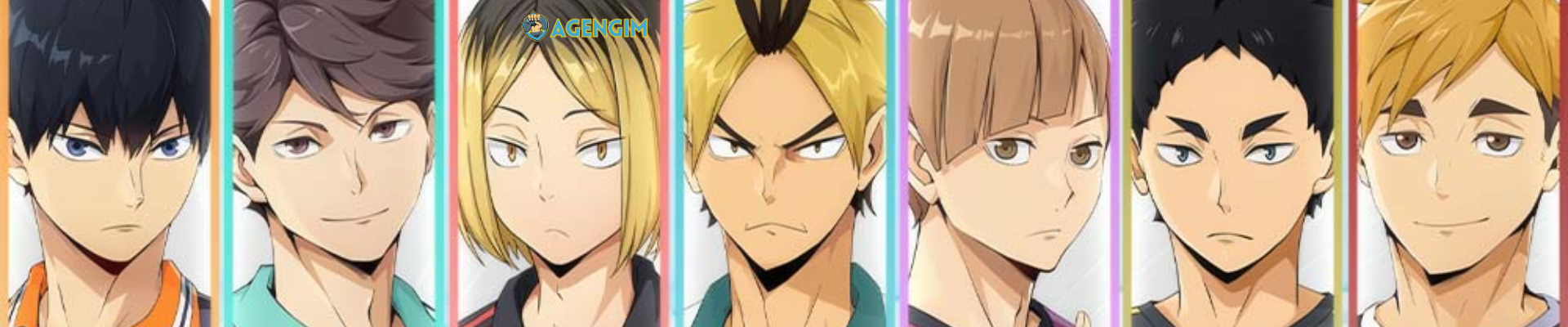 Haikyu Fly High